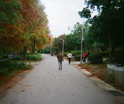 Photograph 35